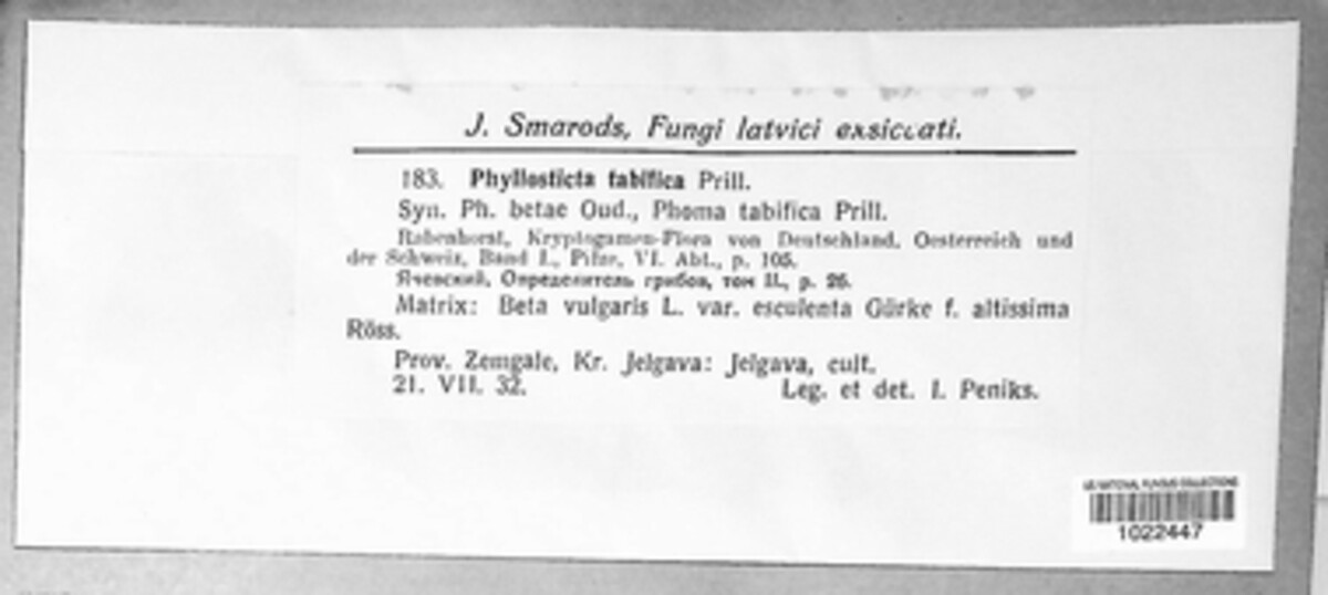 Pleospora bjoerlingii image